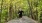 Parks & Trails