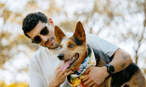 a person holding a dog